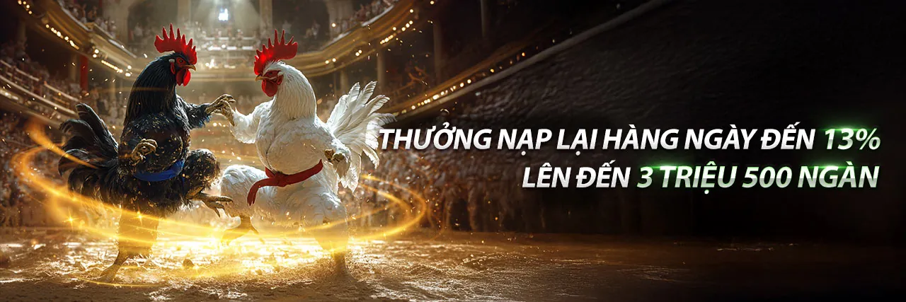 Đá gà trực tuyến kịch tính trên nw88 app