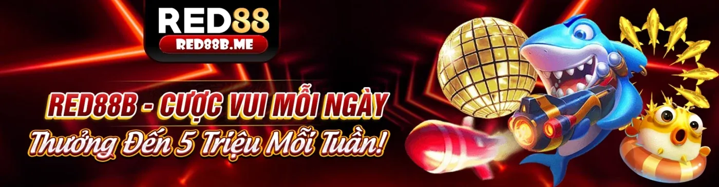 nw88 app Blog - Nền Tảng Cá Cược Di Động Hàng Đầu