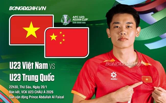 Giấy phép và quy định cá cược